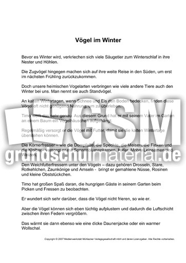 Fehlerlesen-Vögel-im-Winter-nur-Text.pdf